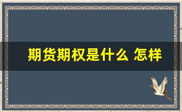 期货期权是什么 怎样交易(期权怎么交易的举个例子)_https://www.gen-fastener.com_广期所_第1张